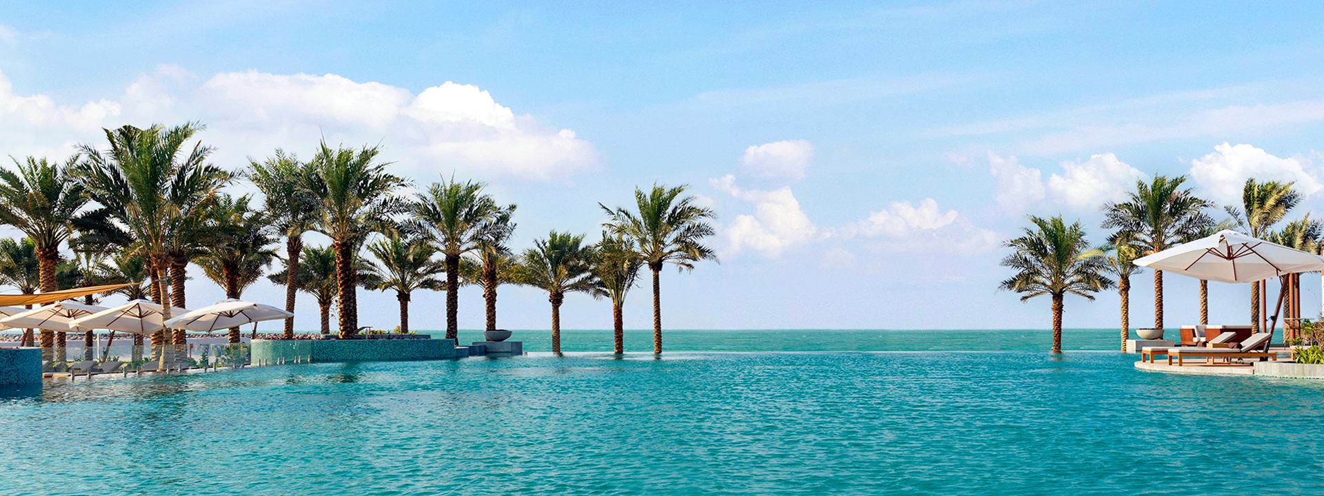 A sea shore with palm trees